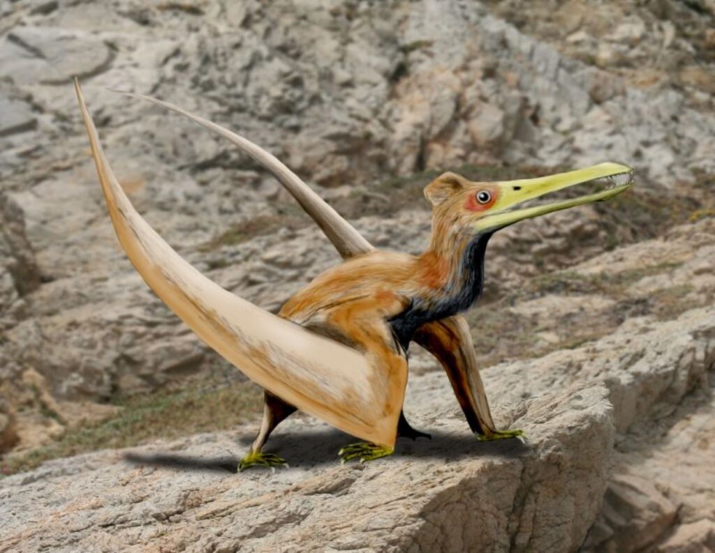 Aerial Predators Take Flight