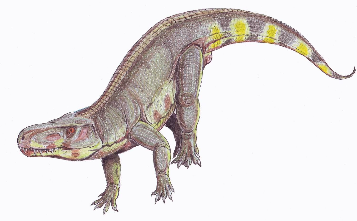 David vs Goliath: Facing the Triassic Titans (image credits: dmitrchel@mail.ru, CC BY-SA 3.0, https://commons.wikimedia.org/w/index.php?curid=3285444)