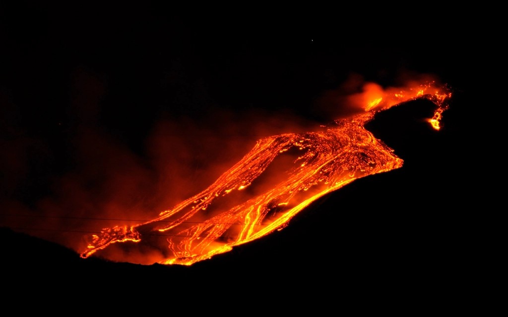 The Ultimate Extinction Lottery: Surviving the End-Triassic Crisis (image credits: rawpixel)