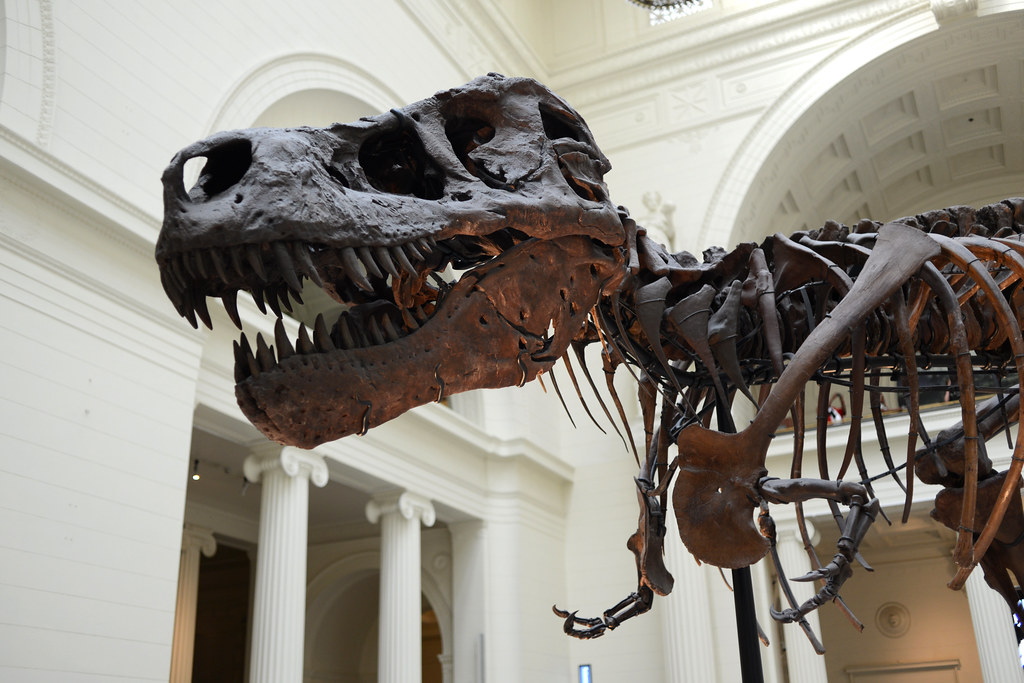 The Discovery That Broke All The Rules (image credits: flickr)