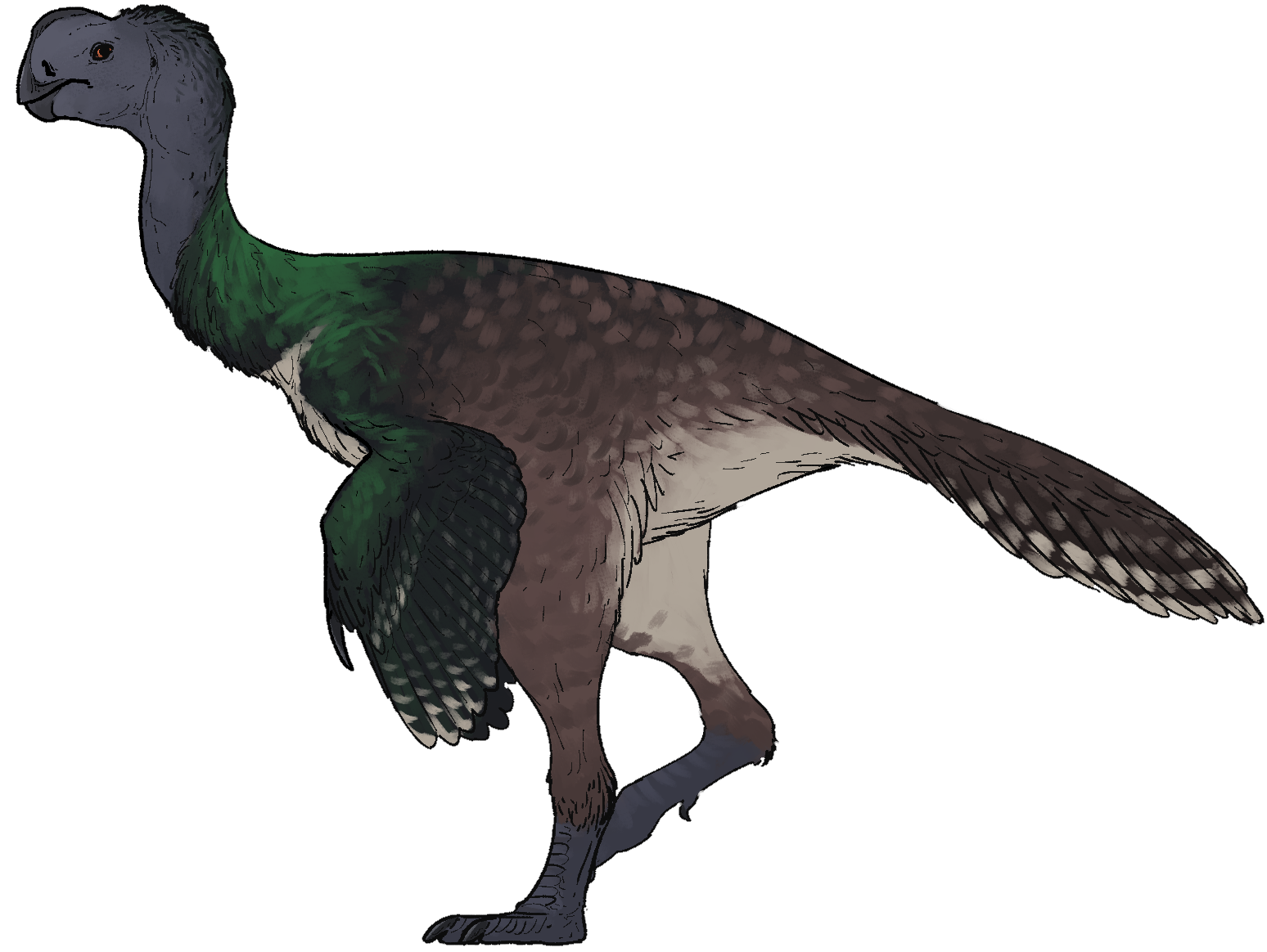 From Hell Creek to Headlines (image credits: By Ddinodan, CC BY 4.0, https://commons.wikimedia.org/w/index.php?curid=144520543)