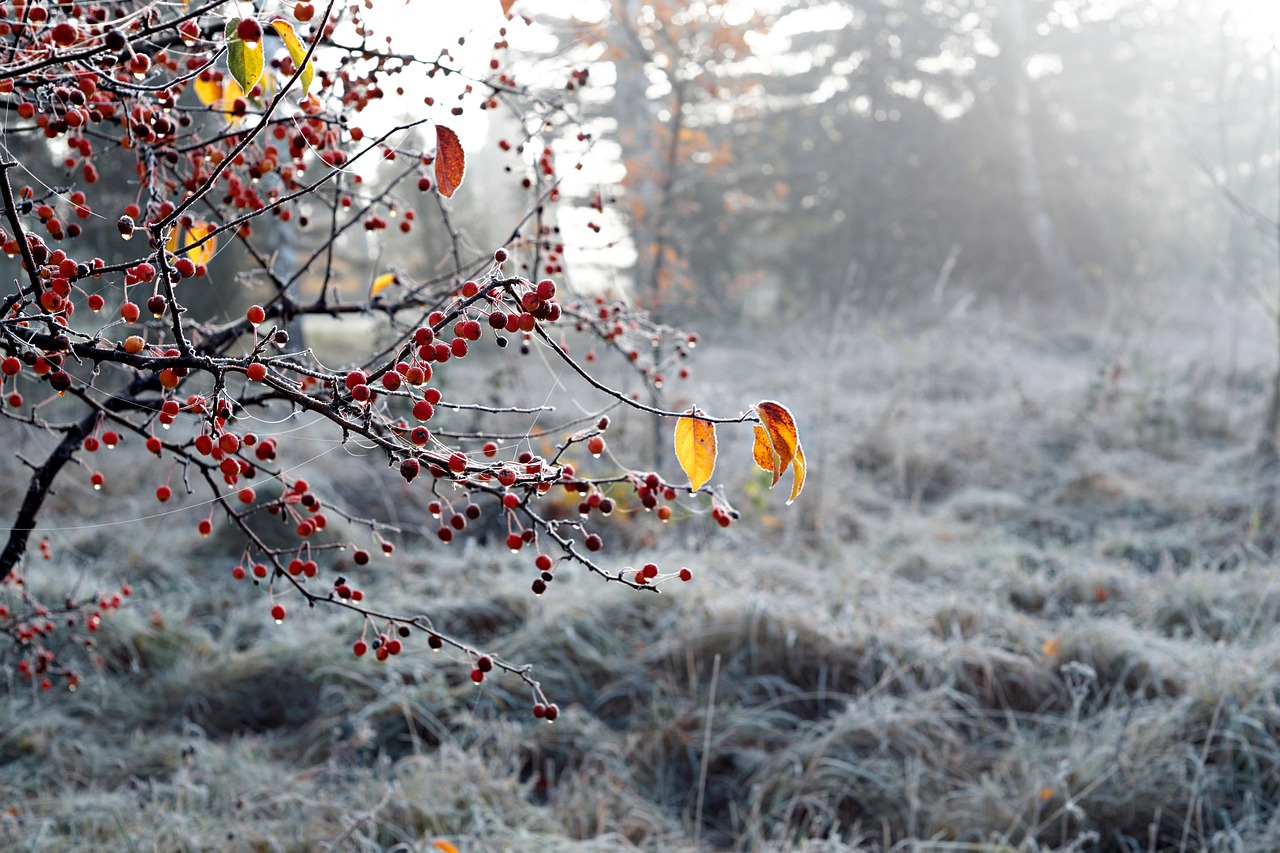 When the Earth Started Cooling Down (image credits: pixabay)