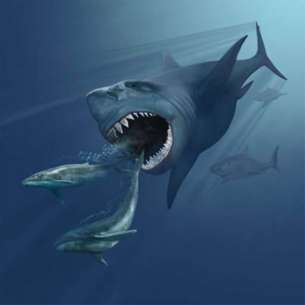 The Threat from Giant Prehistoric Sharks