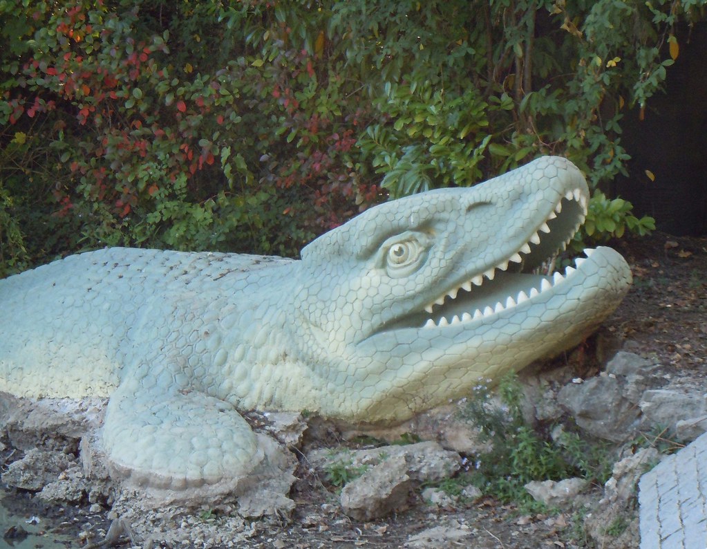 Vulnerable Juveniles and Smaller Species (image credits: flickr)