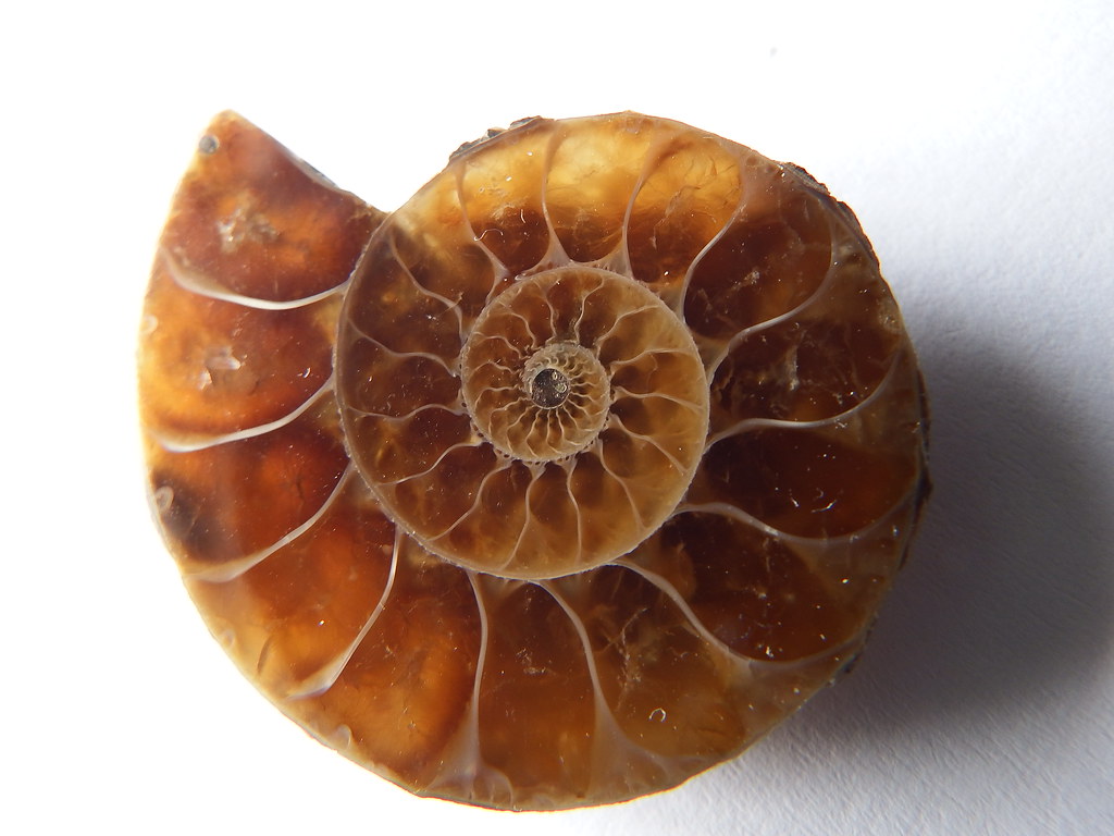 Ocean Chemistry Changes Told The Story (image credits: flickr)