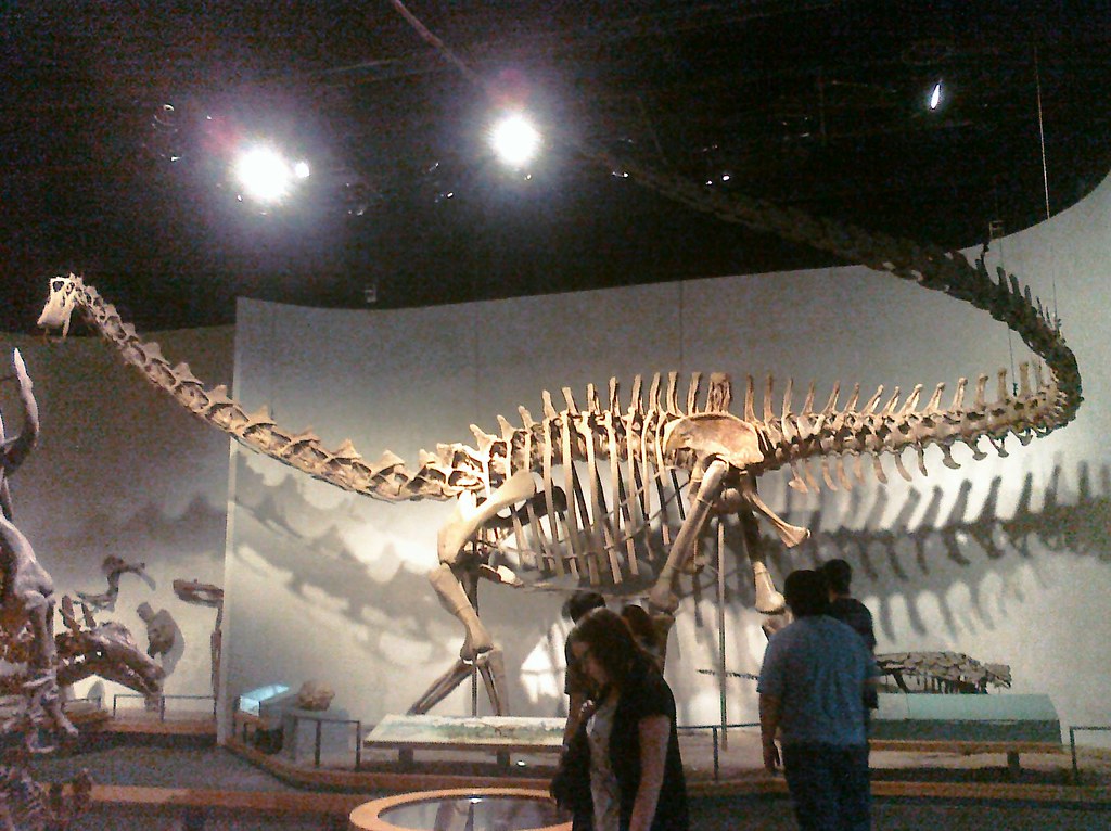 Lack of Survival Strategies Sealed Their Fate