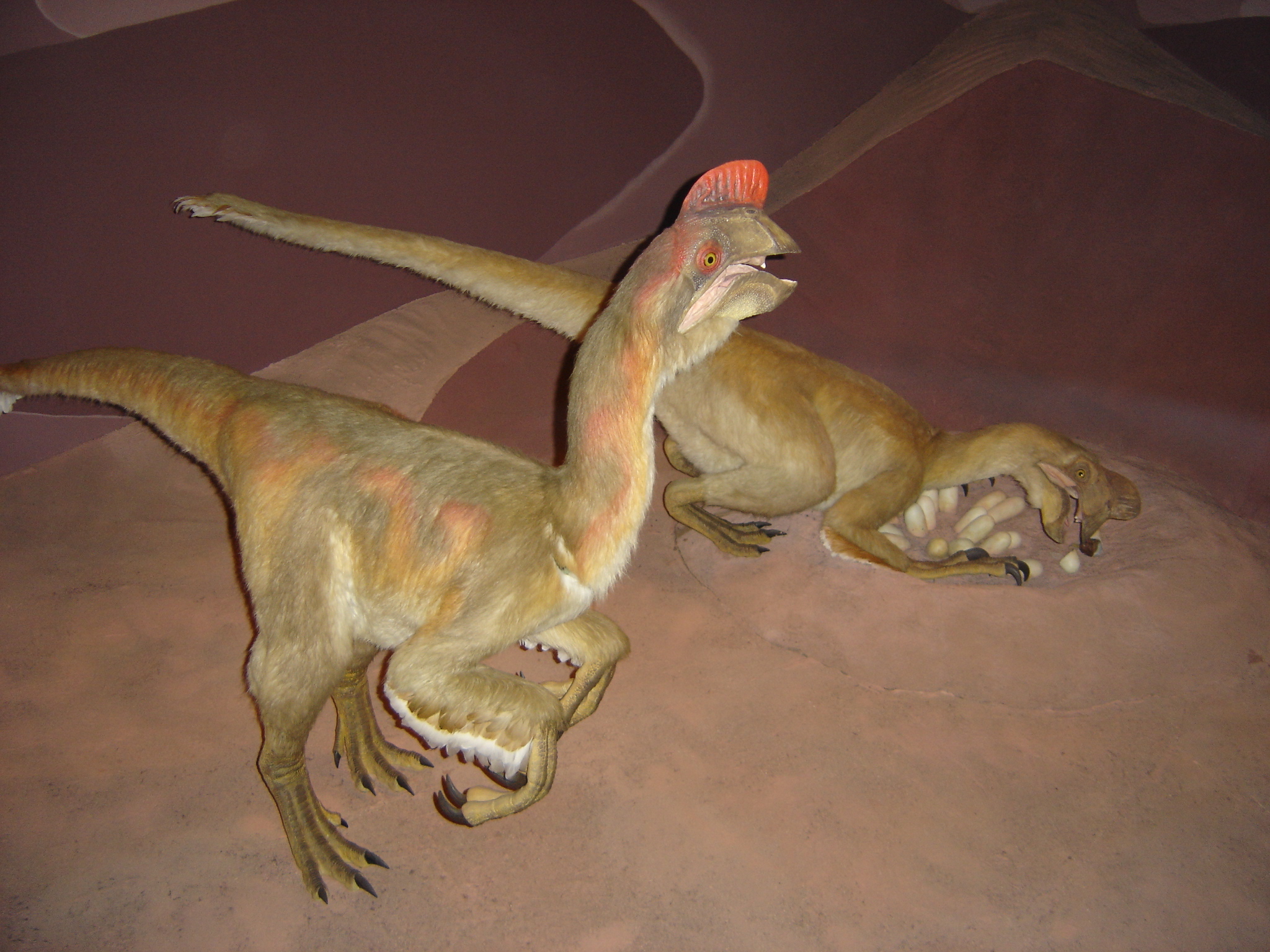 The Museum Revolution That Hollywood Missed (image credits: wikimedia)