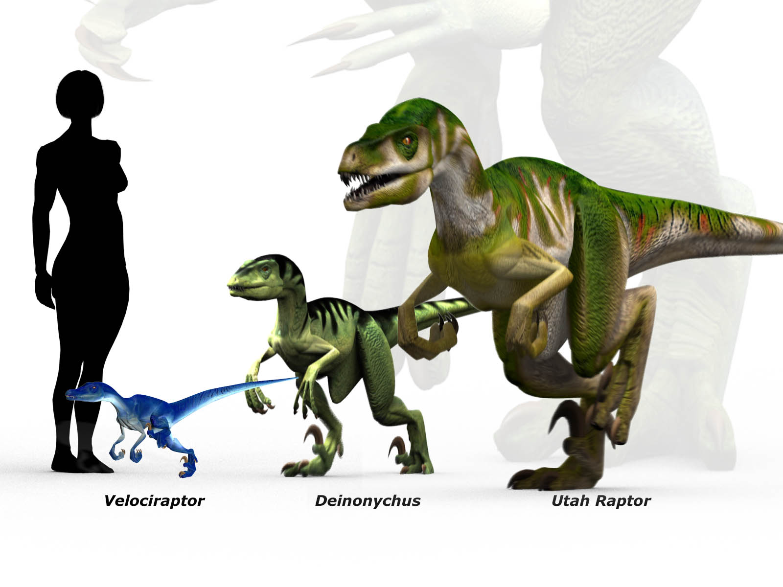 The Great Size Deception (image credits: wikimedia)