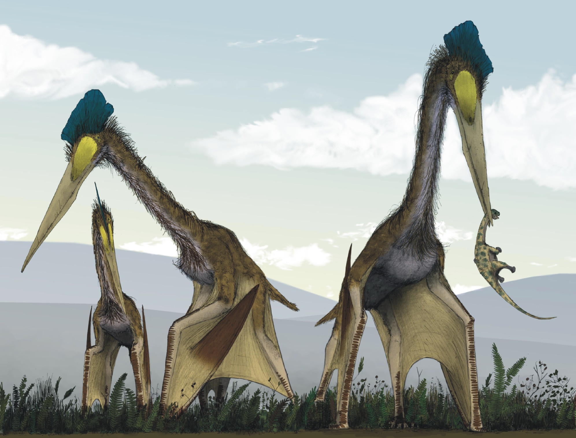 Conclusion: The Jurassic Sky Revolution (image credits: Witton MP, Naish D (2008) A Reappraisal of Azhdarchid Pterosaur Functional Morphology and Paleoecology. PLoS ONE 3(5): e2271. doi:10.1371/journal.pone.0002271, CC BY 3.0, https://commons.wikimedia.org/w/index.php?curid=4124334)