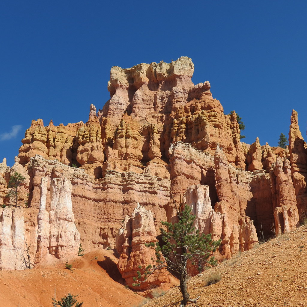 The Evidence Hidden in Ancient Rocks (image credits: flickr)