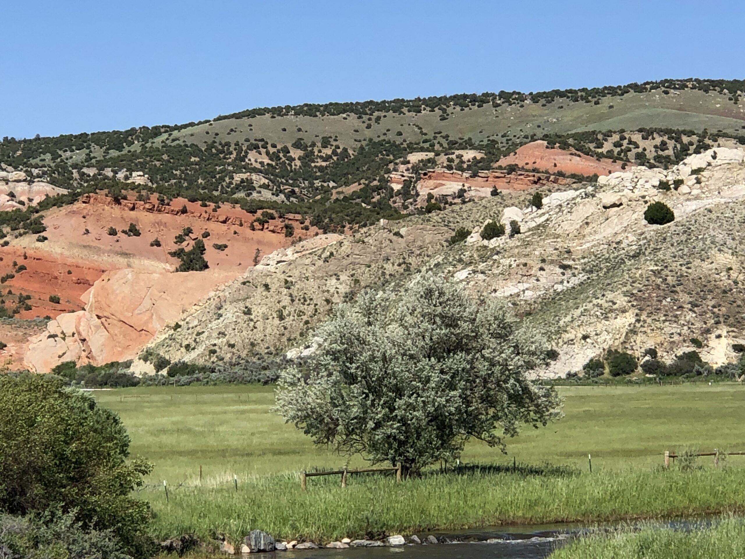 The Great Bone Wars at Como Bluff (image credits: wikimedia)