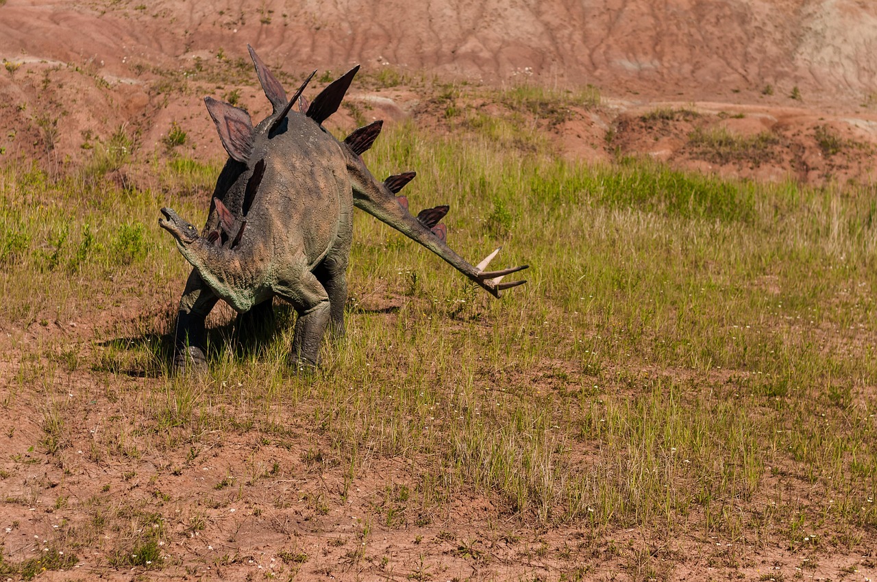 Stegosaurus ungulatus - The Armored Giant (image credits: pixabay)