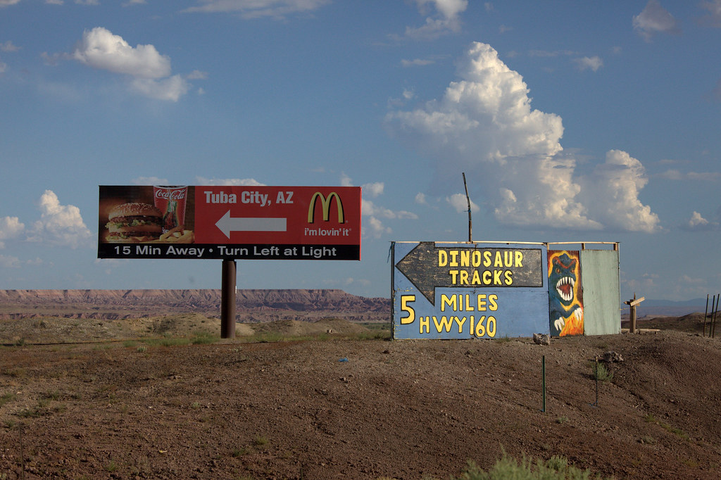 Red Gulch Dinosaur Tracksite - Ancient Highway Discovery (image credits: flickr)