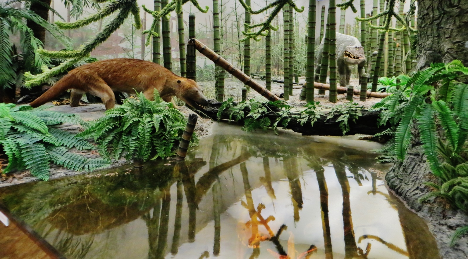 Climate Control in the Age of Reptiles (image credits: wikimedia)
