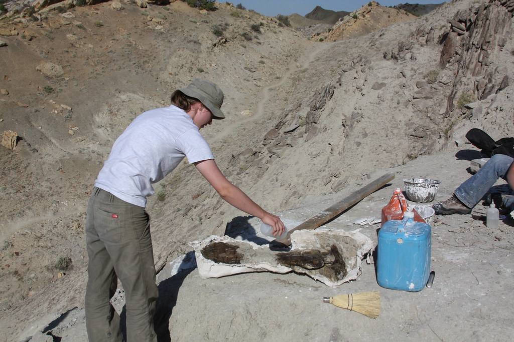 Living the Paleontologist Life (image credits: flickr)