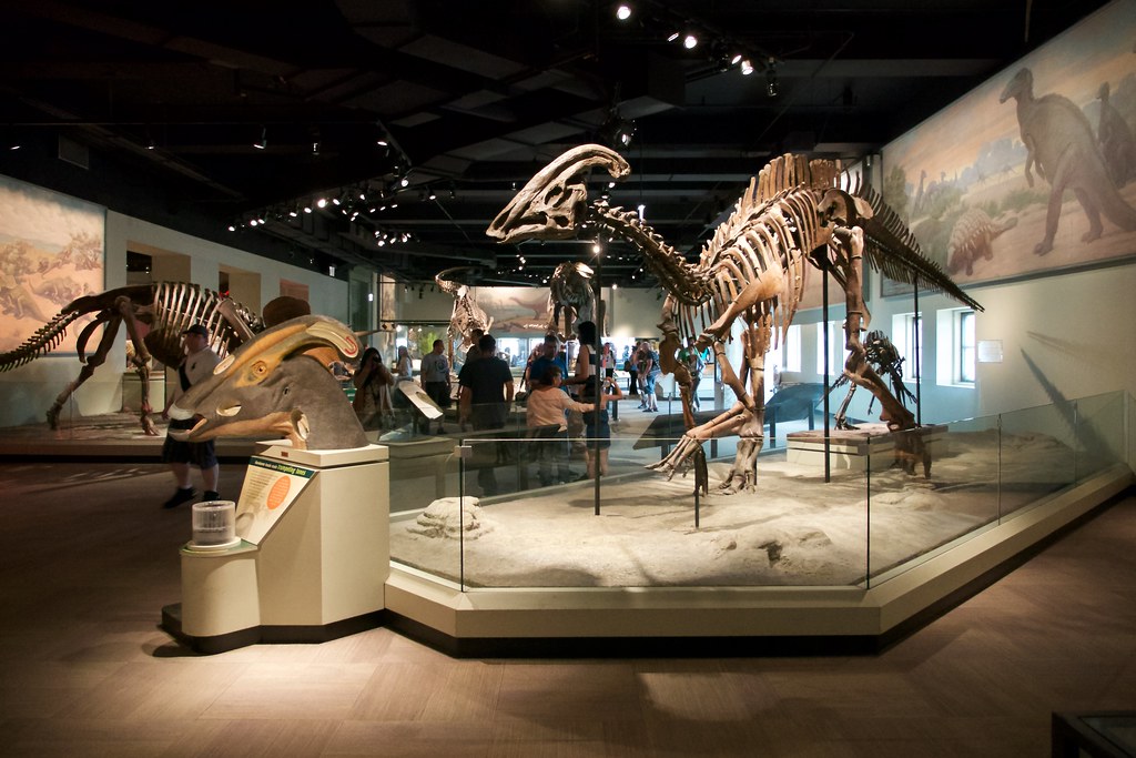 The Magnificent Hall of Dinosaurs