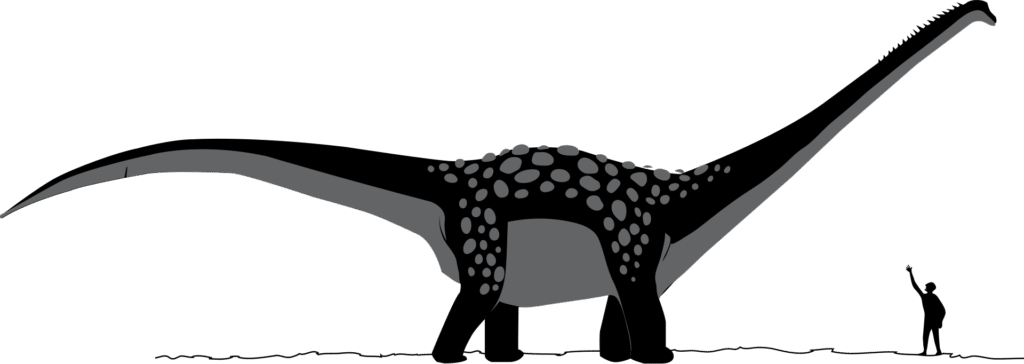 Antarctosaurus giganteus: The Giant from the Southern Continent