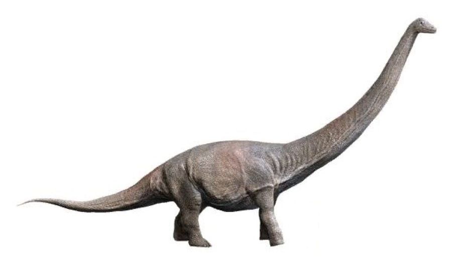 Dreadnoughtus: The Most Complete Giant