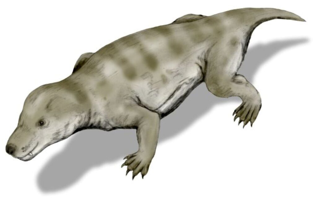 The Rise of Early Mammals