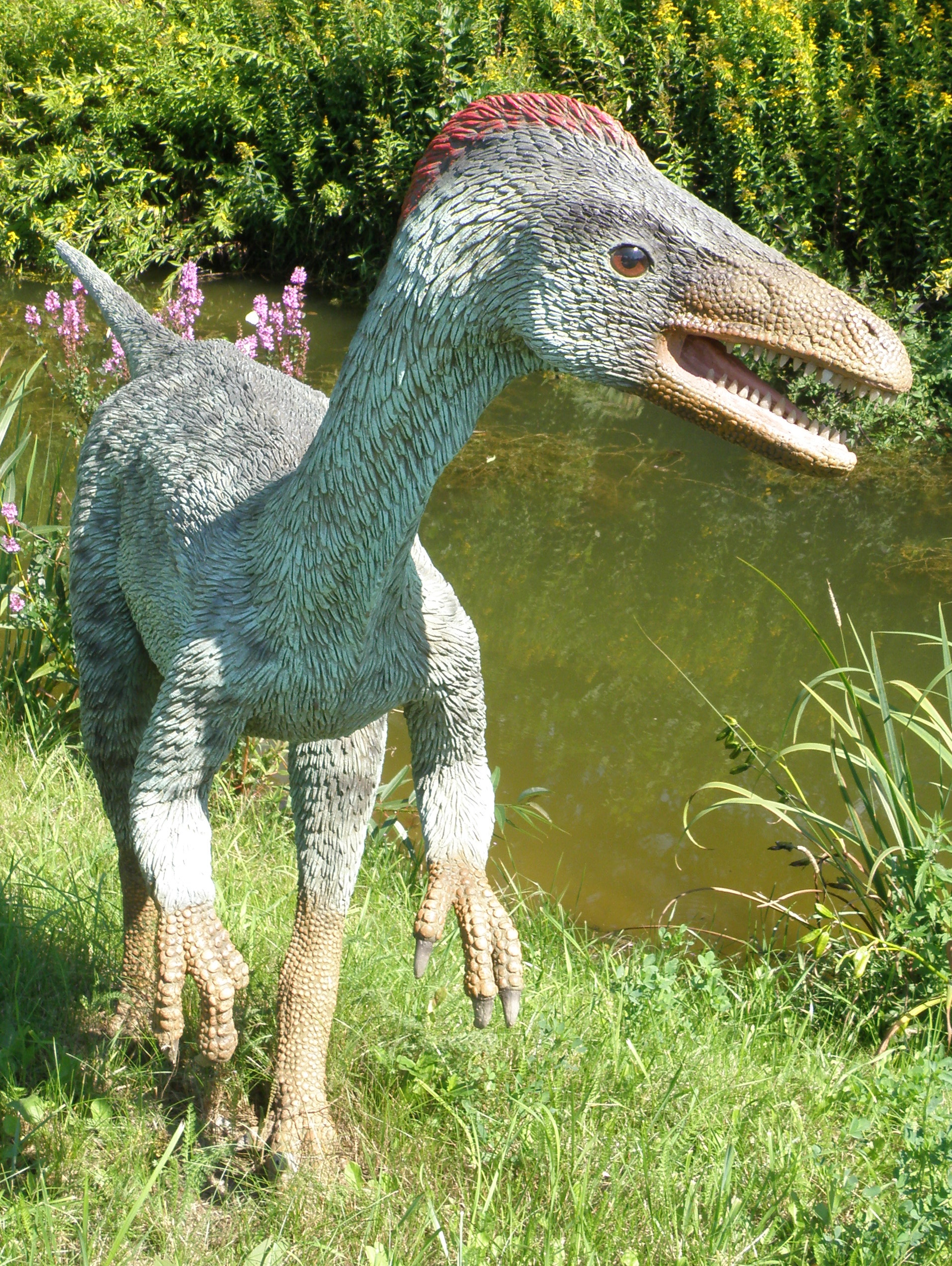 Troodon - The Genius Speedster (Image Credits: Wikimedia)