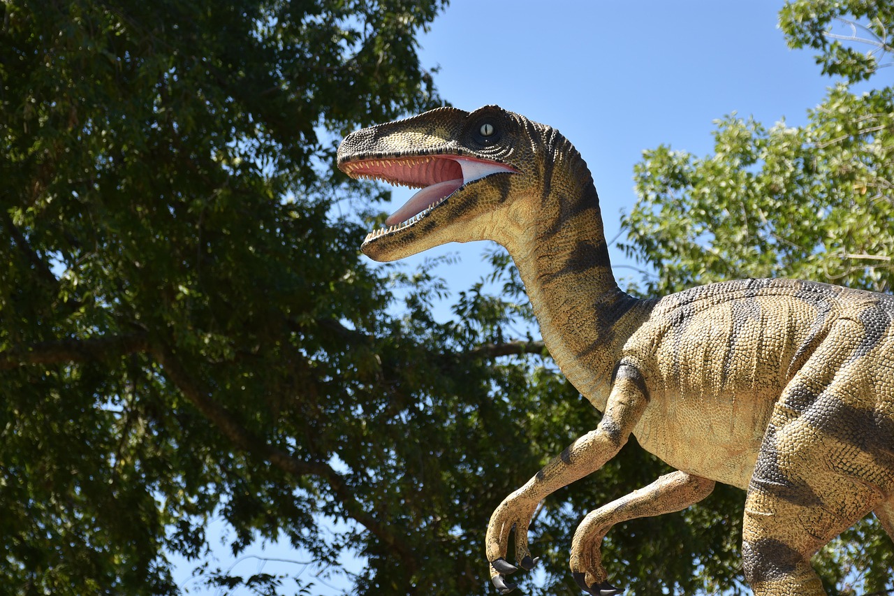 Velociraptor - The Overhyped Hunter (Image Credits: Pixabay)