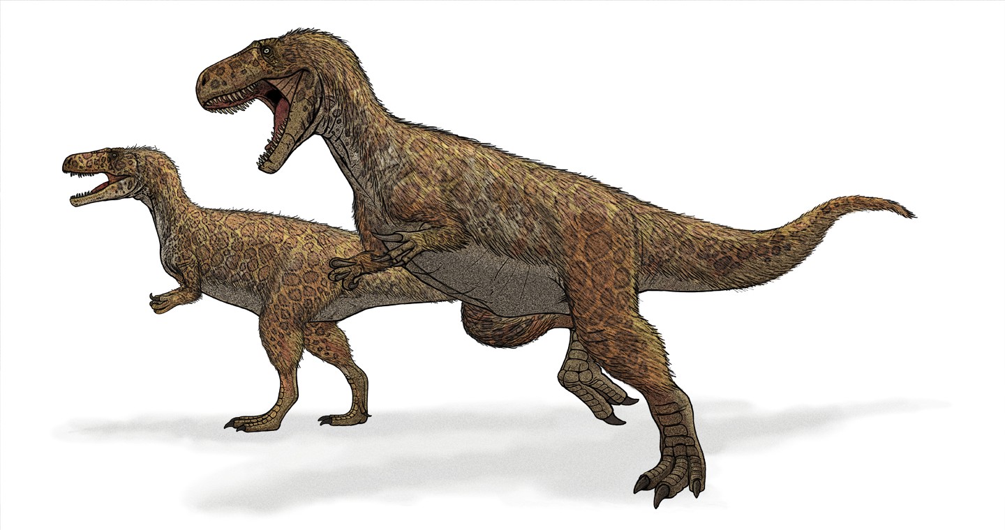 1. Megalosaurus - The First Named Dinosaur That Started Everything (Image Credits: Wikimedia)