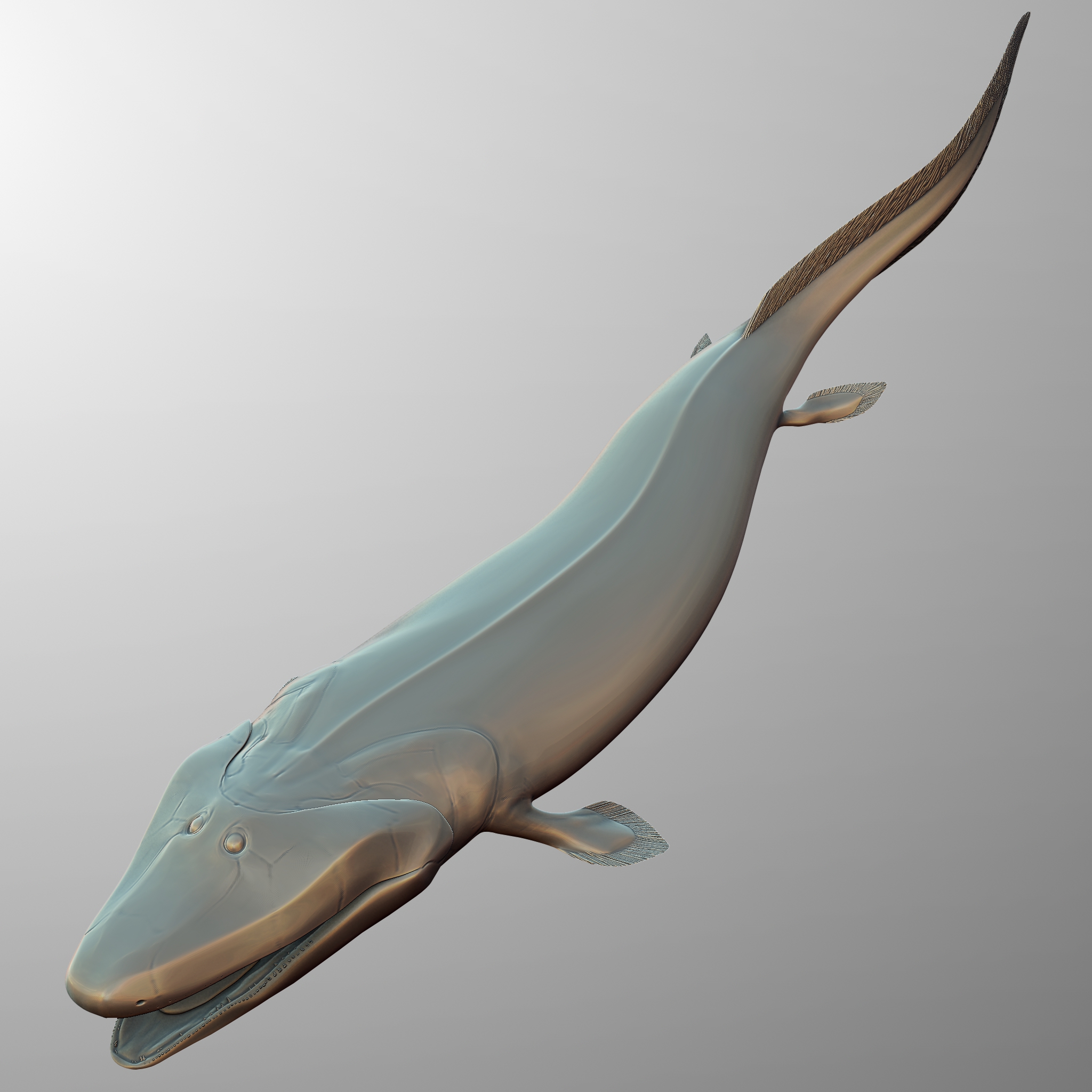 8. Tiktaalik - The Fish That Walked and Bridged Evolutionary Gaps (Image Credits: Wikimedia)