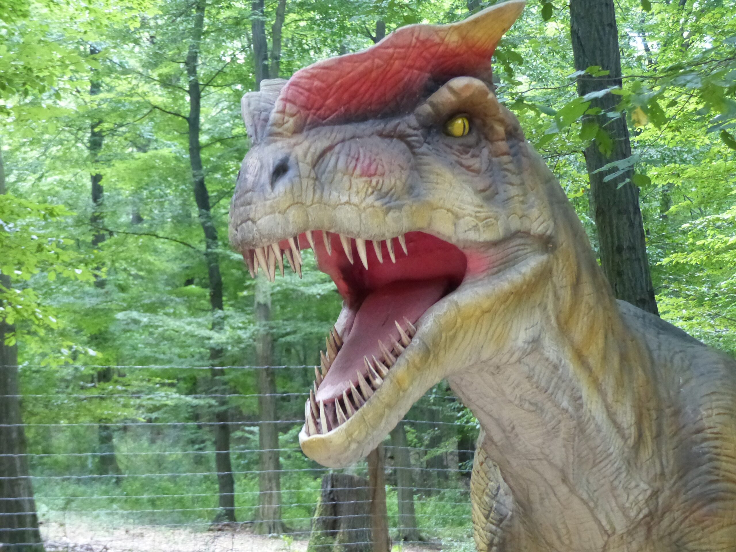 Dilophosaurus - The Early Terror (Image Credits: Wikimedia)