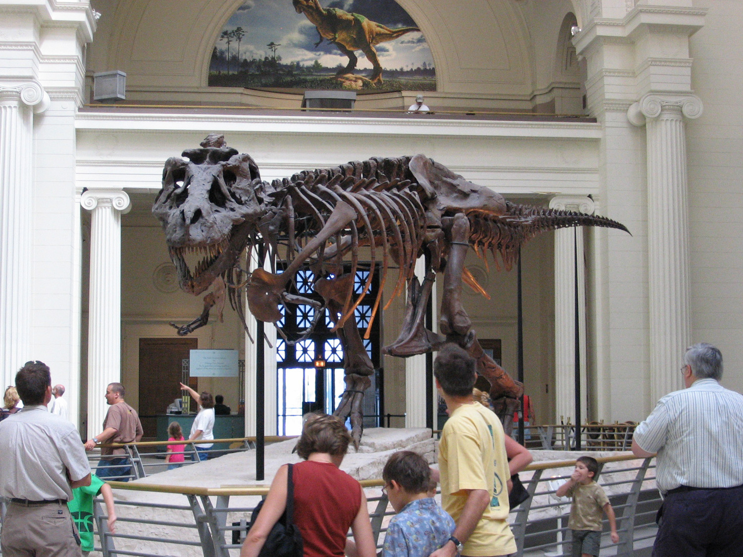 SUE the T. rex - Changing How We Study Dinosaur Biology (Image Credits: Wikimedia)