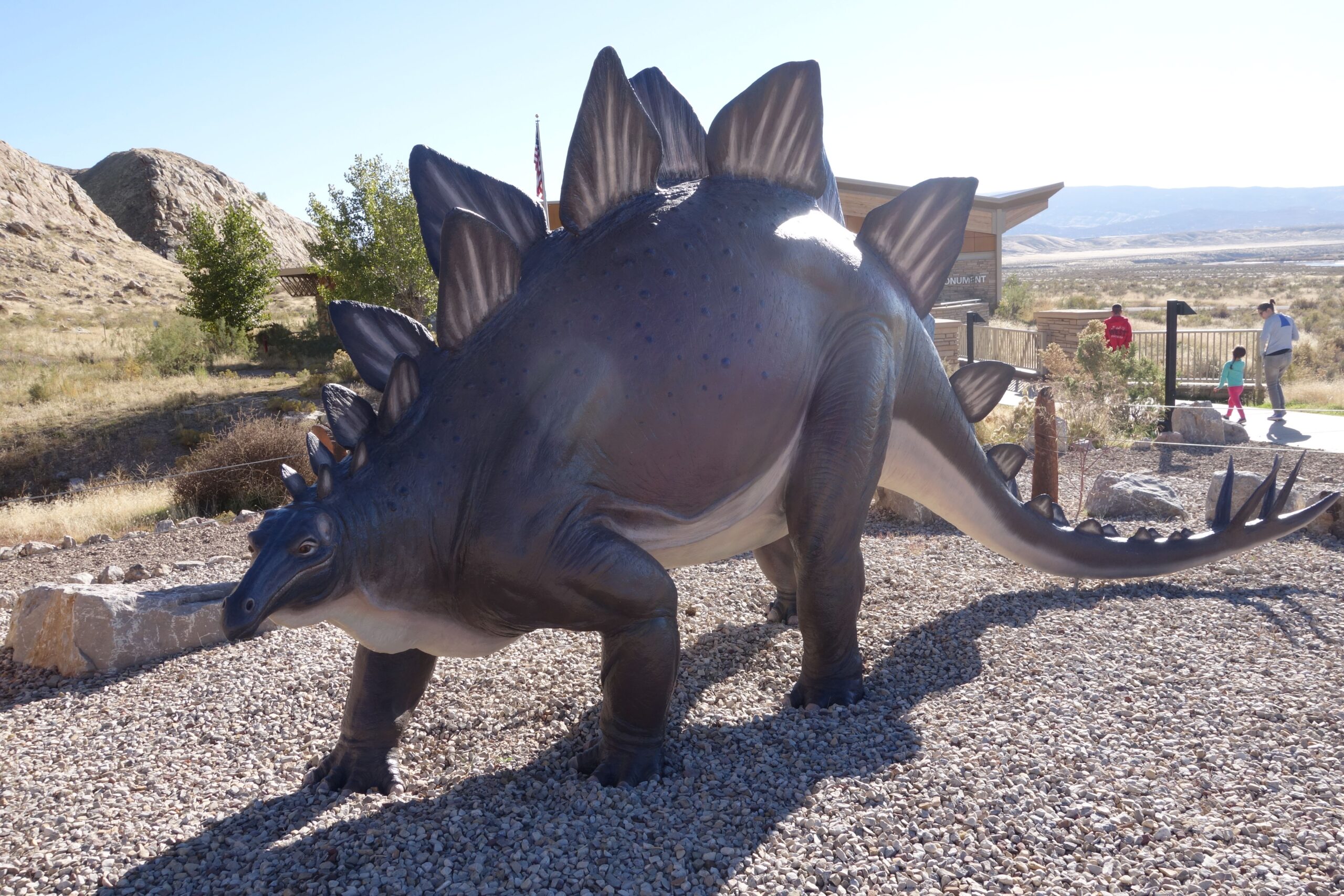 Stegosaurus - The Armored Giant That Started a War (Image Credits: Wikimedia)