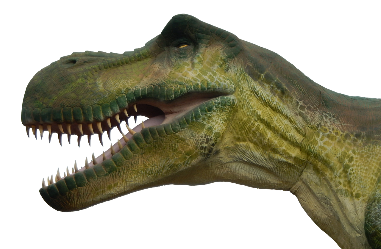 The Soft Tissue Shocker: T. rex's Blood Vessels (Image Credits: Pixabay)