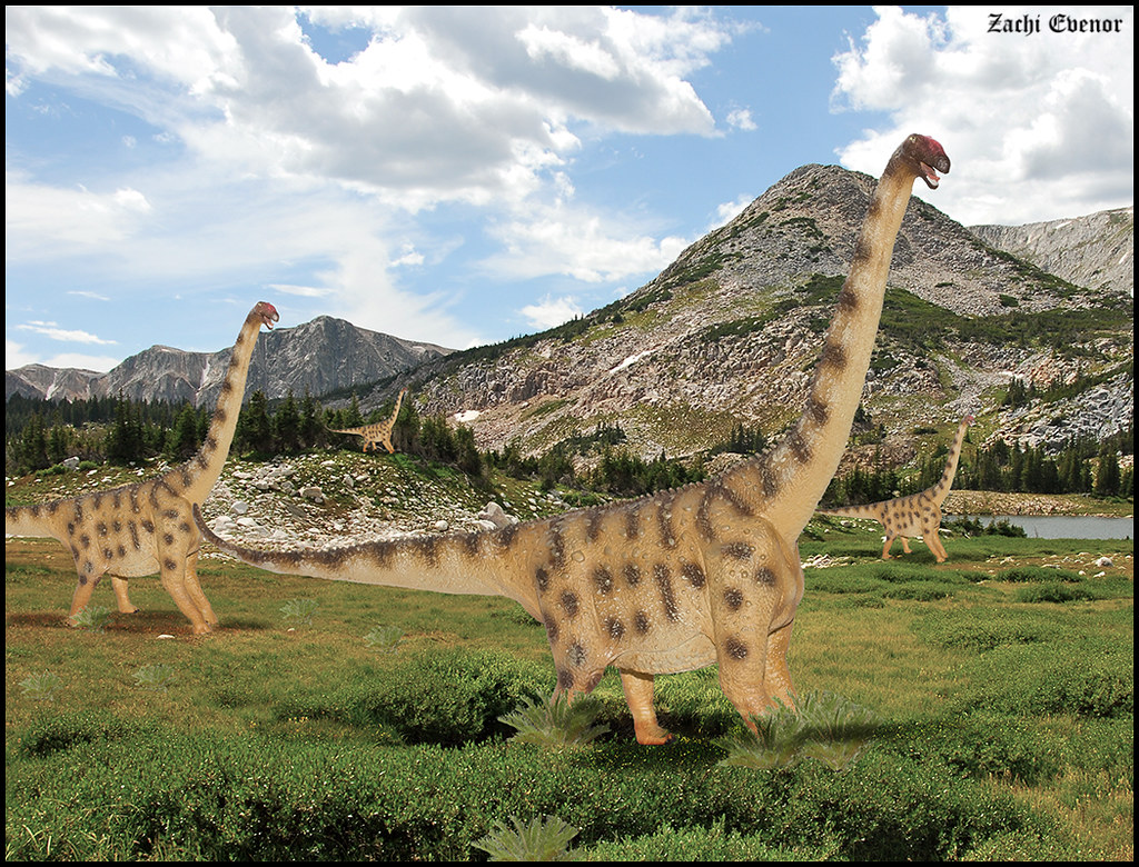 Argentinosaurus - The Colossal Titan (Image Credits: Flickr)
