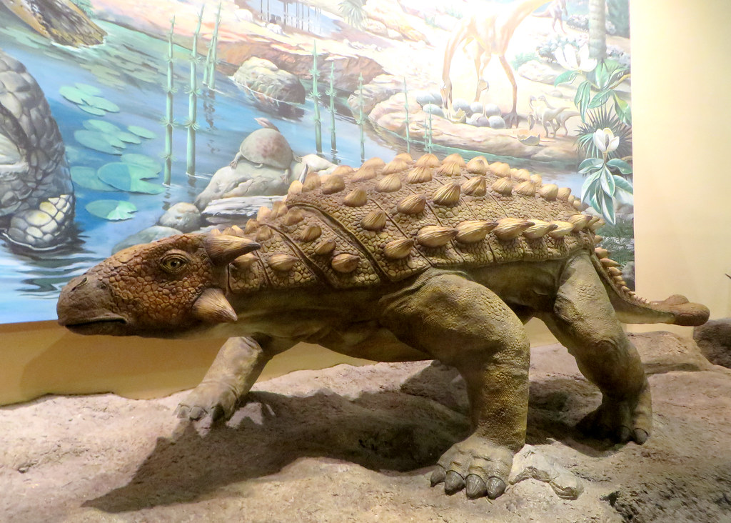 Ankylosaurus - The Living Tank (Image Credits: Flickr)