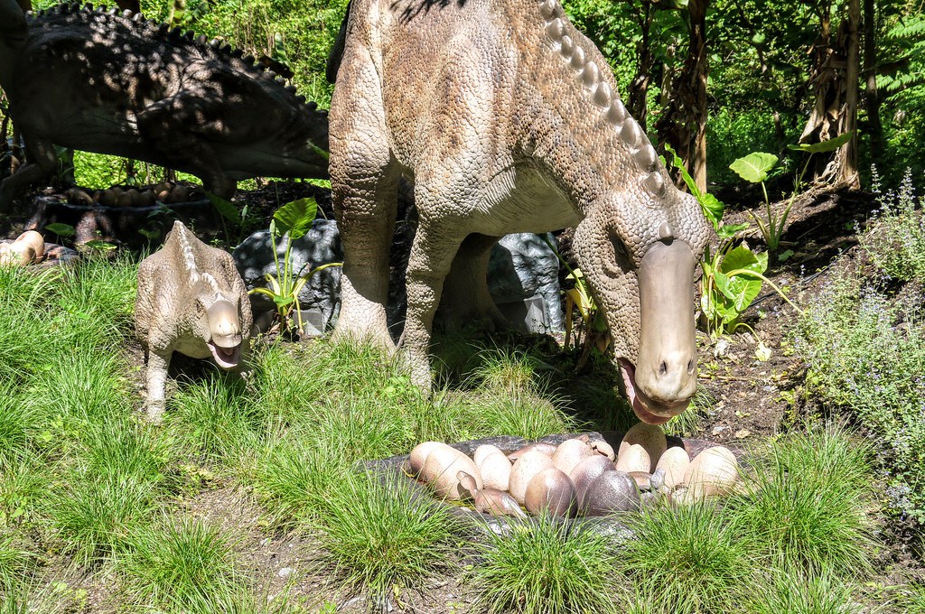 Maiasaura - The Good Mother Herbivore (Image Credits: Flickr)