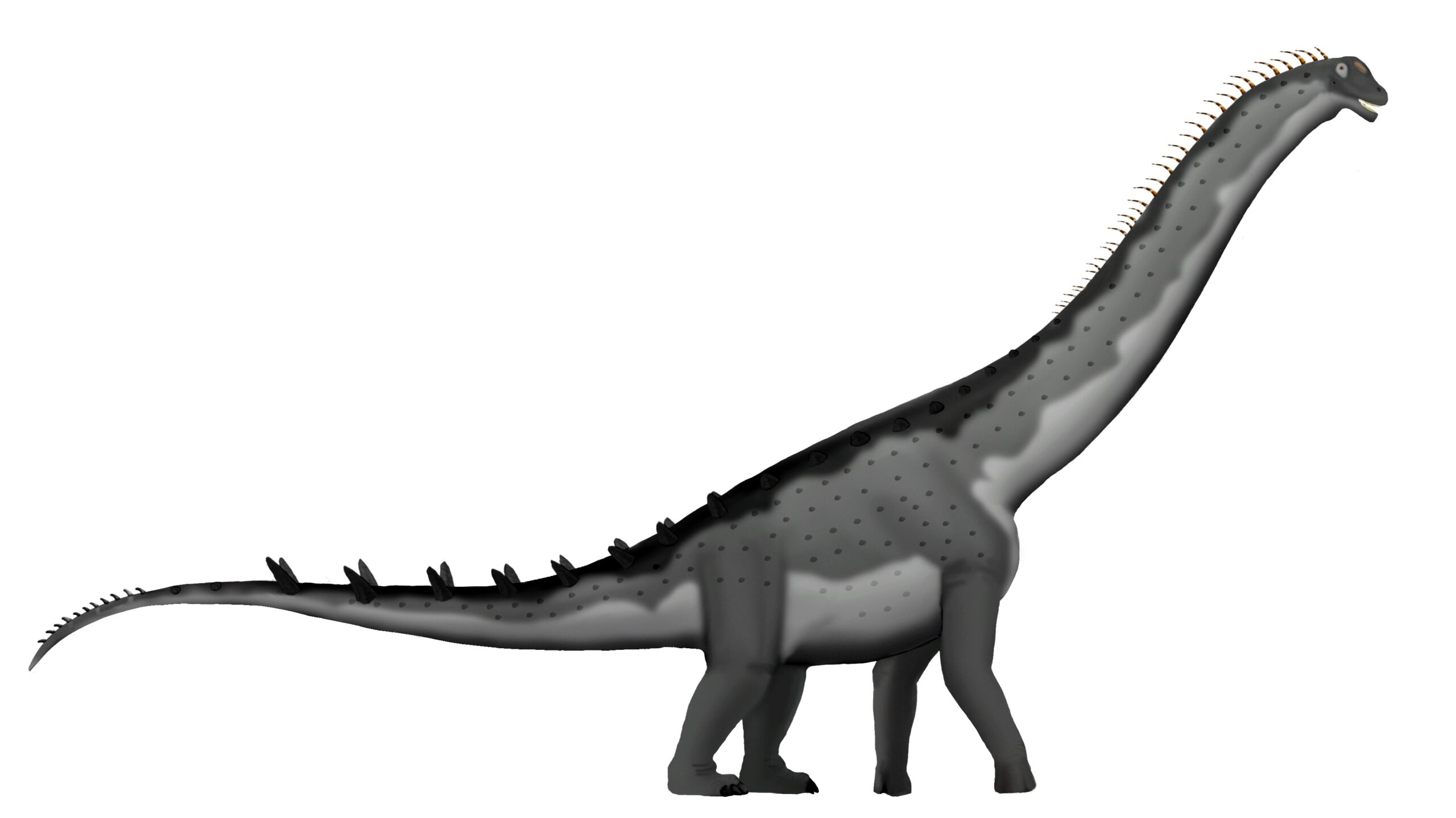 Alamosaurus - The Northern Titan (Image Credits: Wikimedia)