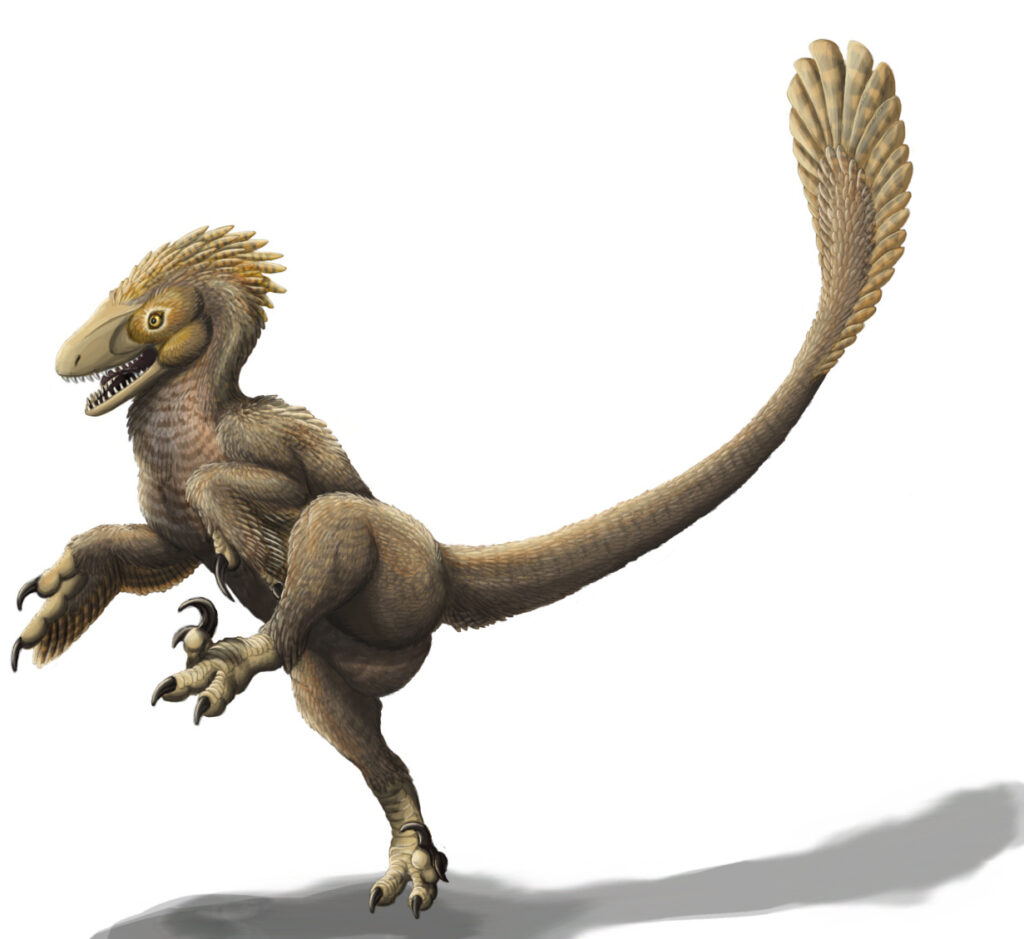 Microraptor: The Four-Winged Wonder