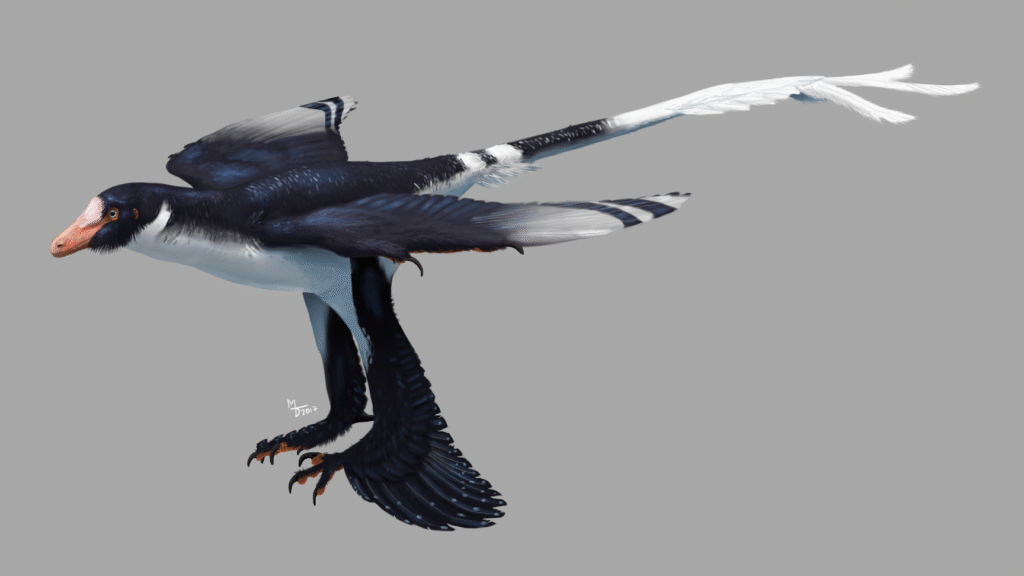 Zhongjianosaurus: The Tiny Raptor