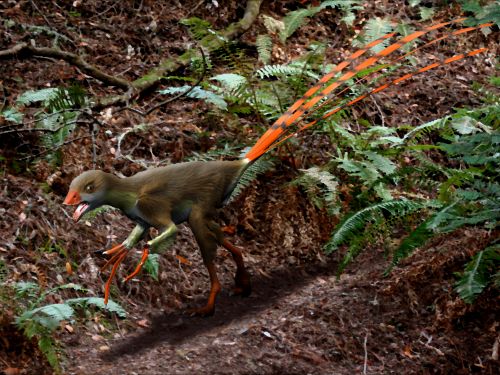 Epidexipteryx: The Feathered Tree Climber