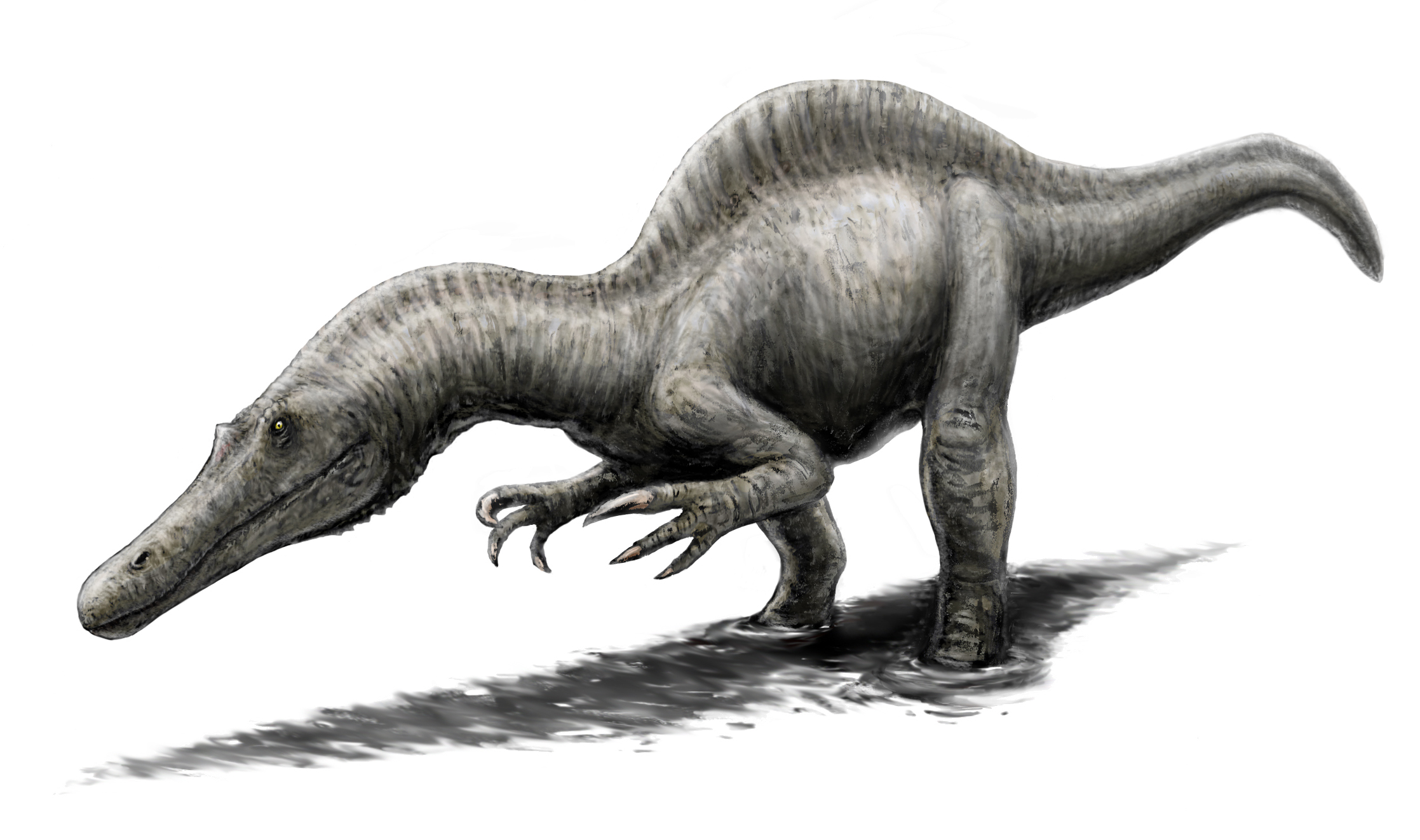 Siamosaurus: The Asian Aquatic Specialist (Image Credits: Wikimedia)