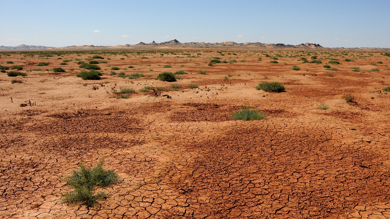 They Lived in One of Earth's Harshest Desert Environments (Image Credits: Pixabay)