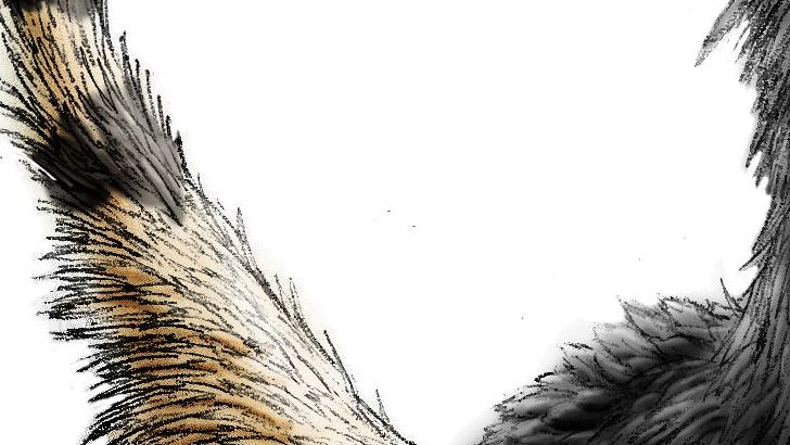 15 Fun Facts About Velociraptors