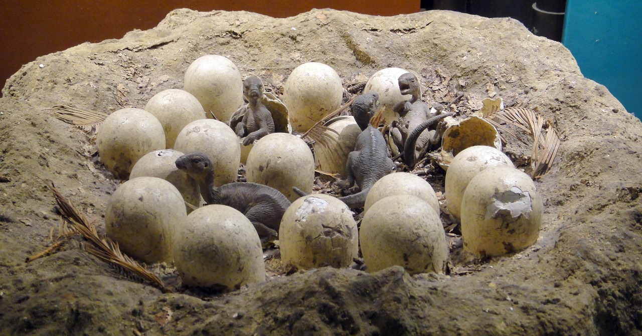 The Colossal Titanosaur Hatchery of India (Image Credits: Pixabay)