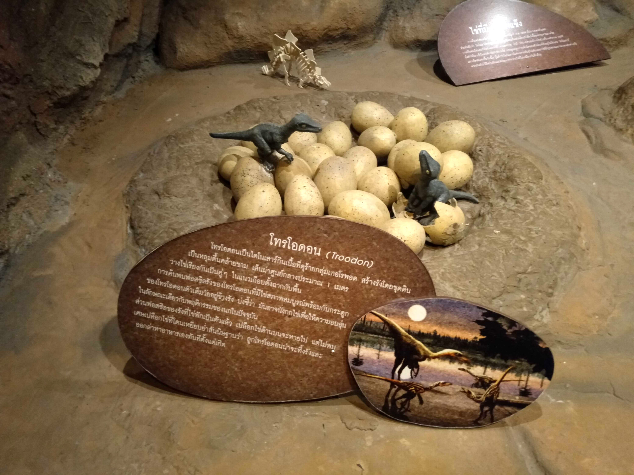 The Troodon's Communal Nesting Strategy (Image Credits: Wikimedia)