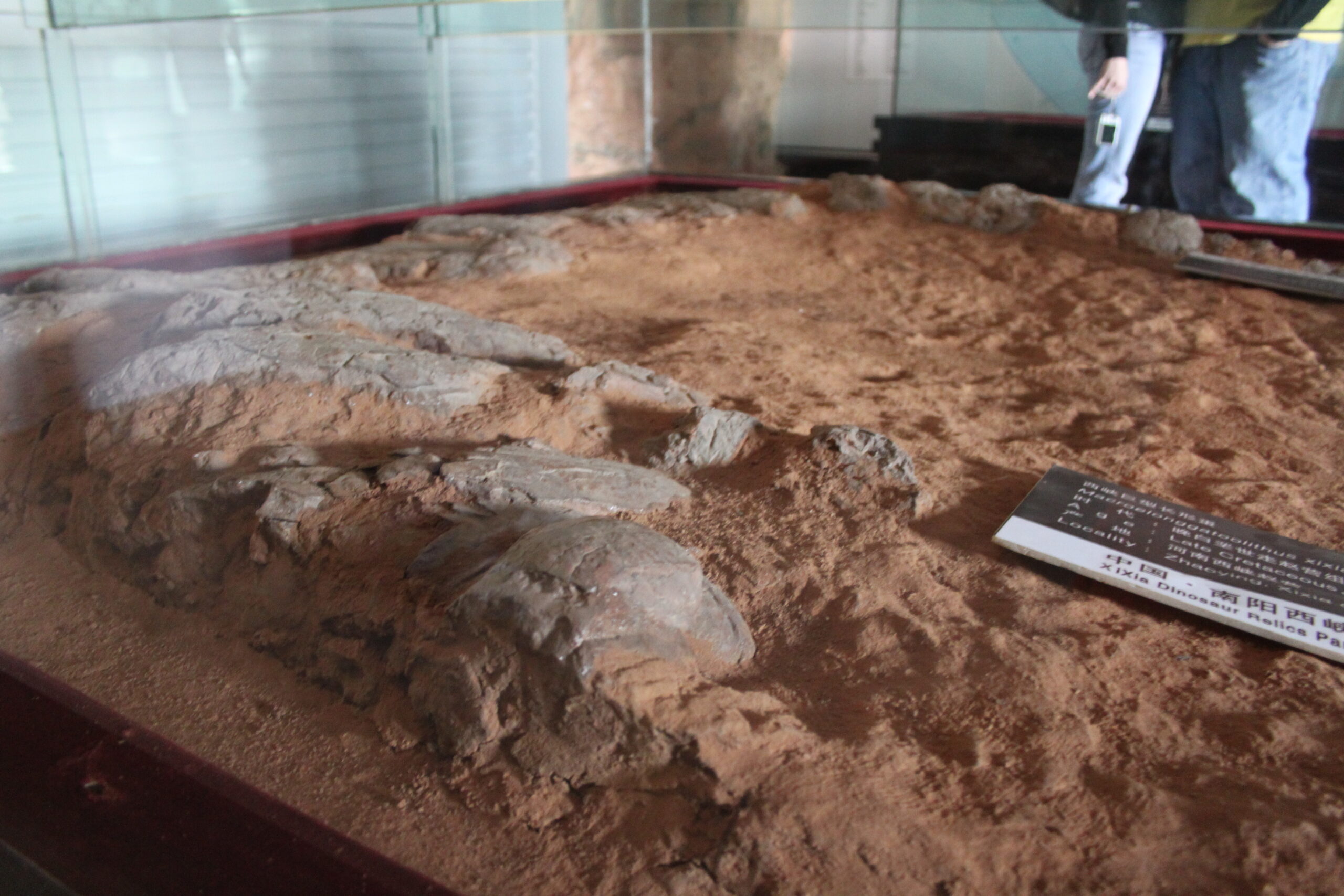 The Montana Mass Grave Discovery (Image Credits: Wikimedia)