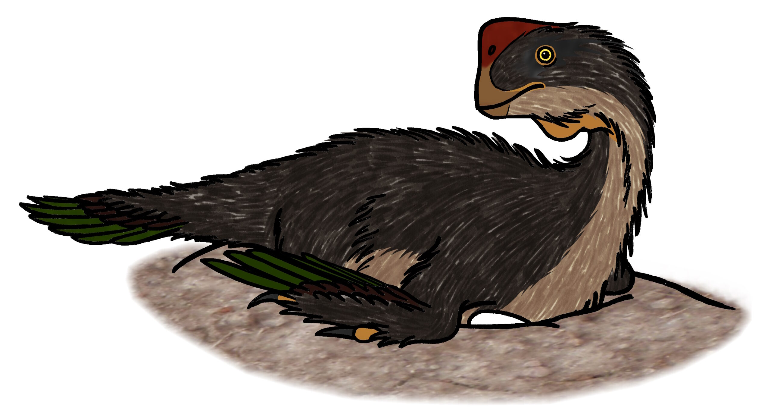 The Misunderstood Oviraptor Legacy (Image Credits: Wikimedia)