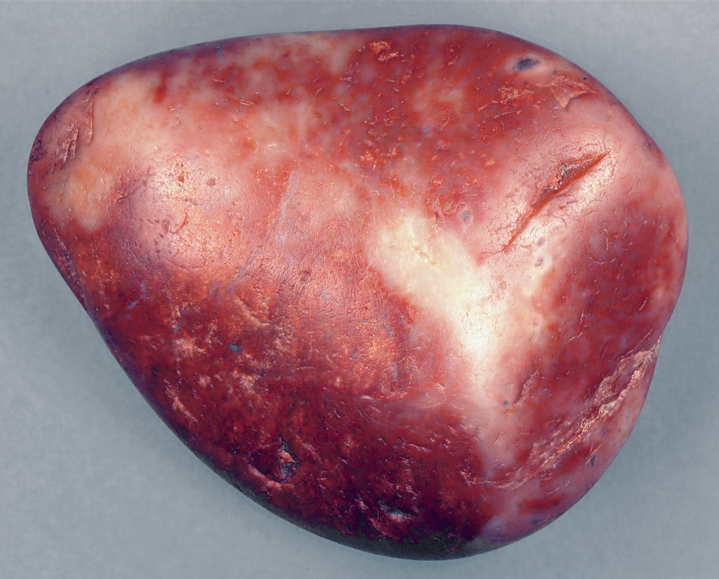 The Gastroliths Discovery Within Nests (Image Credits: Flickr)