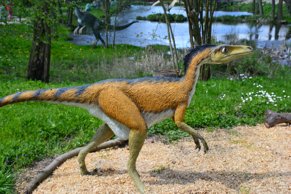 The Multi-Female Troodon Evidence (Image Credits: Flickr)