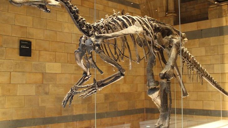 9 Times Paleontologists Got It Wrong