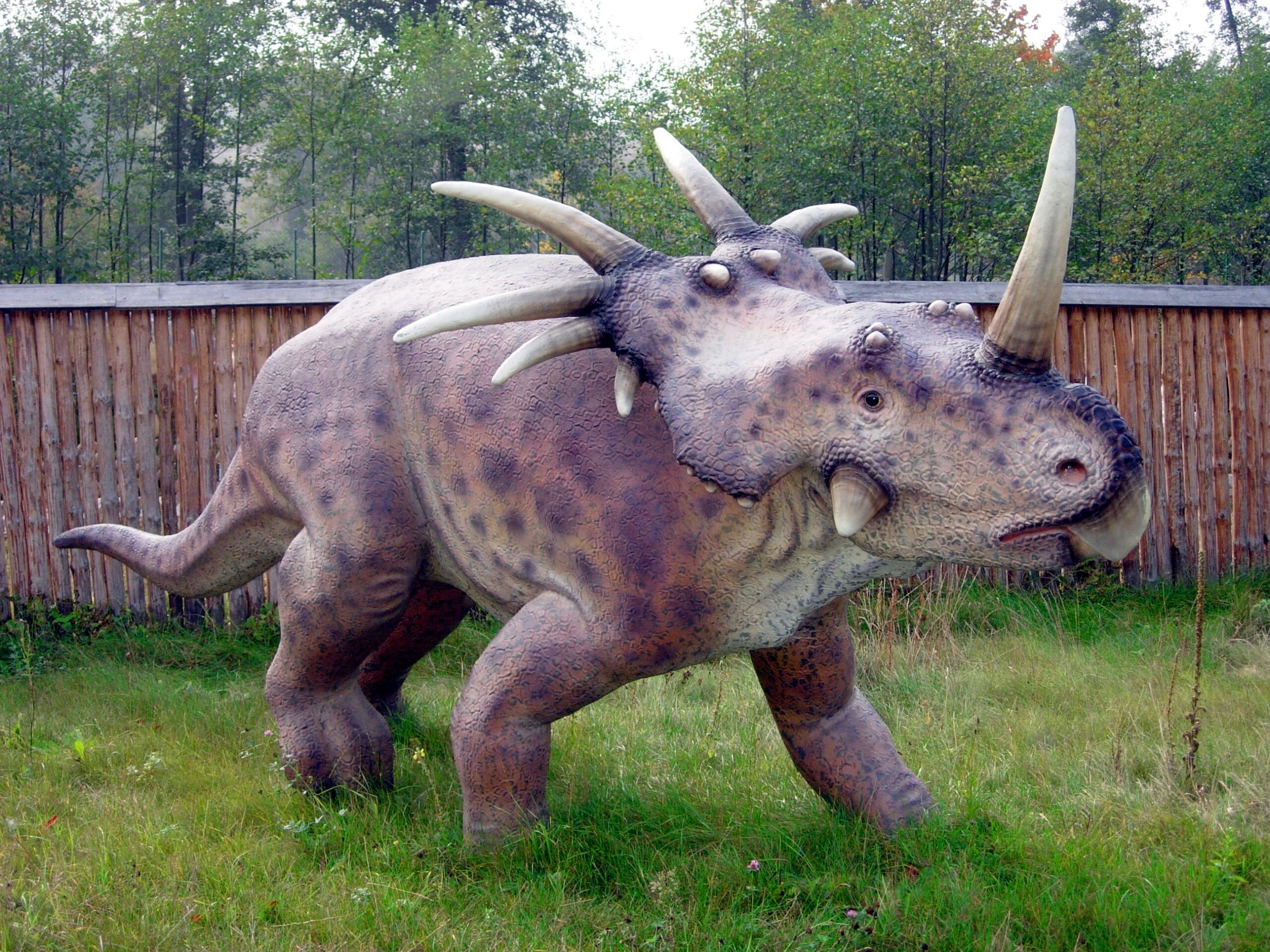 Styracosaurus - The Spiked Warrior (Image Credits: Wikimedia)