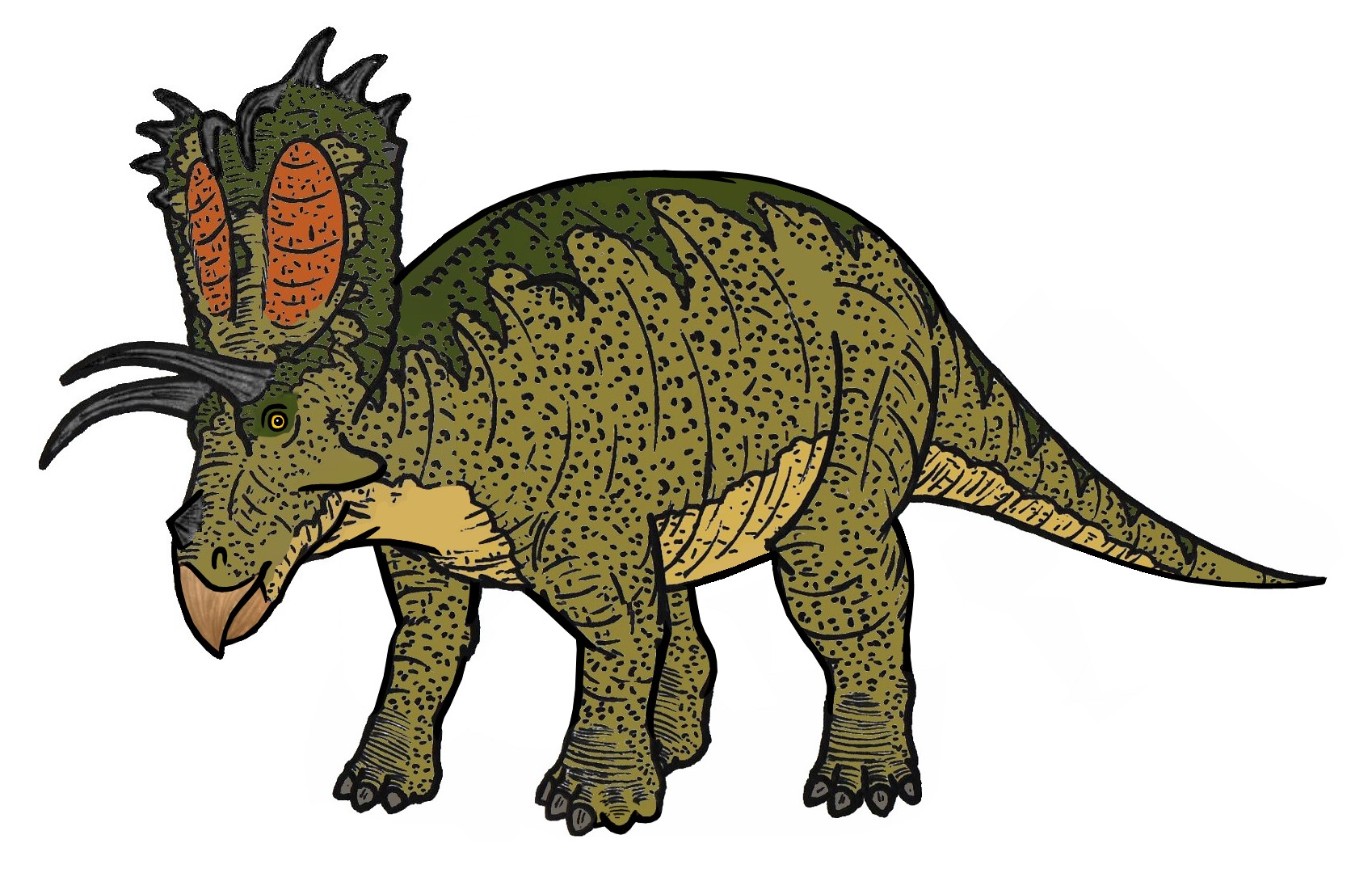 Pentaceratops - The Five-Horned Face (Image Credits: Wikimedia)